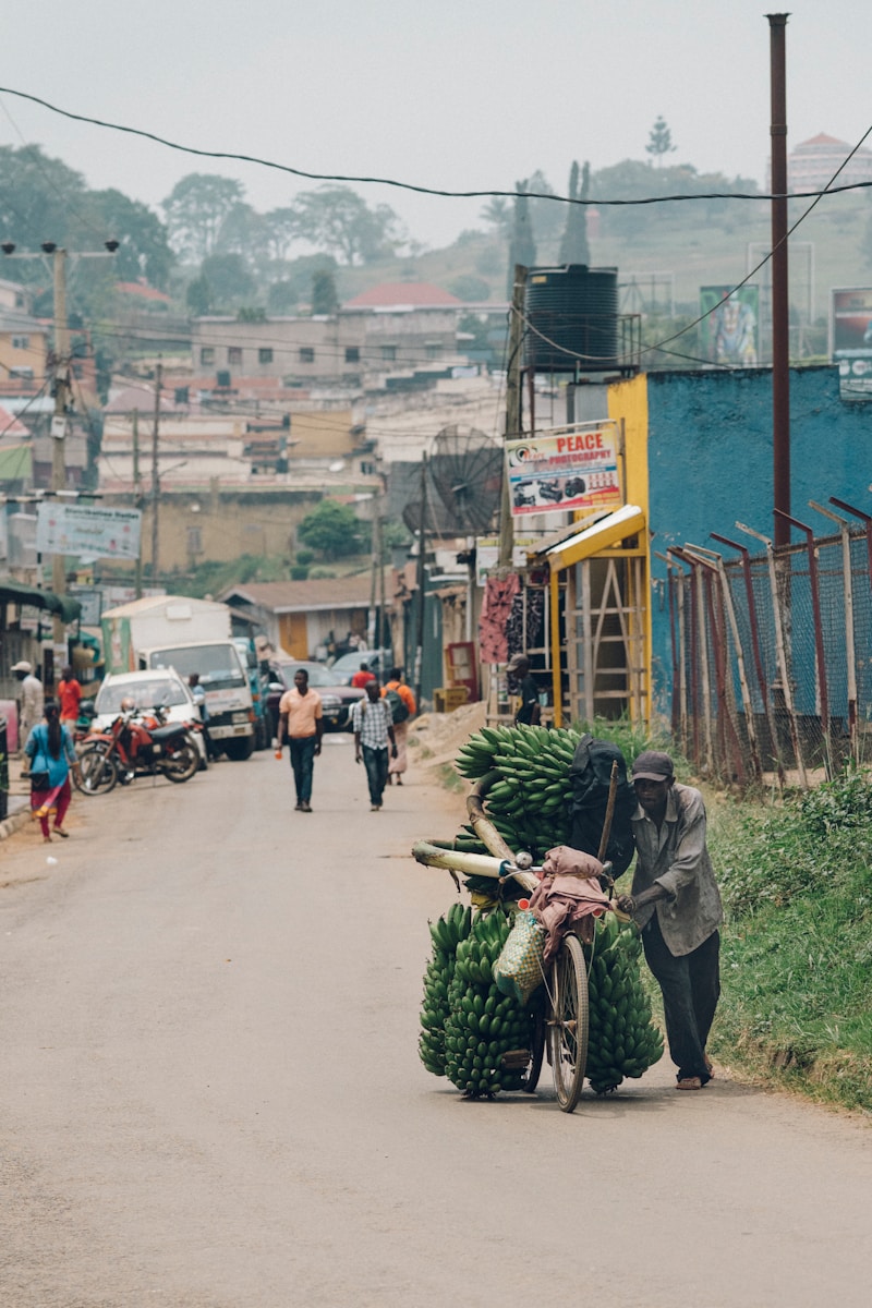 Lesotho Economic Crisis: "View of a small African town representing economic challenges and resilience in Lesotho"