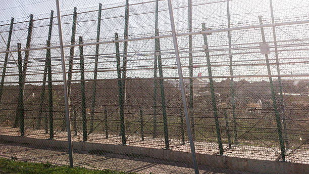 BMA Interception at OR Tambo: 30 Illegal Immigrants Nabbed, Govt Reacts